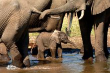 Zambia & Malawi Holidays