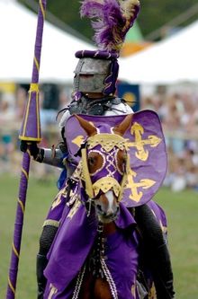 Loxwood Joust Knight 