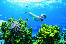 12 Hour Underwater Live Dive 