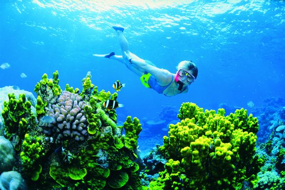 12 Hour Underwater Live Dive 