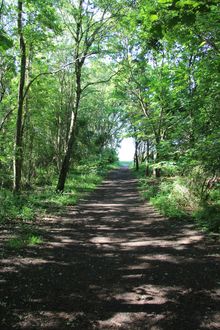 Nature - Cycling In Denmark