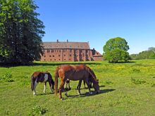 Esrum Kloster In North Sealand