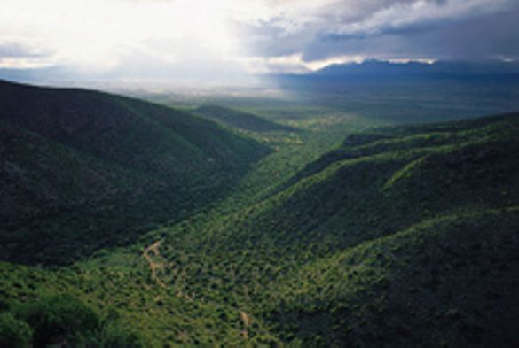 Green Valleys