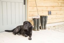 Formerly Used As A Dairy And Pony Club Camp, These Child And Pet-Friendly Barns Remain True To Their Equine Heritage; Guests Can
