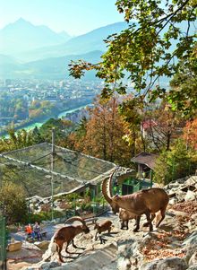Alpenzoo Innsbruck