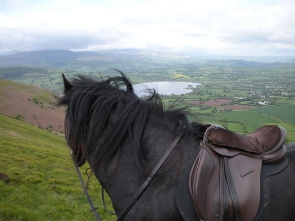 At Home With Horses With Good Day Out