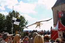 The Royal Royal Falconry Show