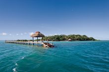 Dolphin Island, Fiji
