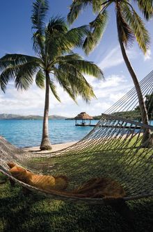 Dolphin Island, Fiji