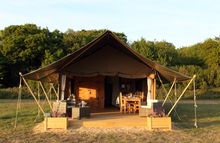 Safari Living in Norfolk
