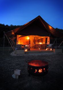 Nights under the stars