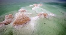 The Dead Sea