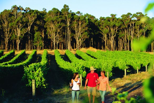 Margaret River Is Known For Its Premium Wine