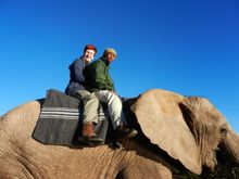 Liesbet Elephant Ride