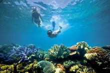 Snorkelling At Lizard