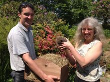 New Prickly Guest At The Moorland Garden Hotel
