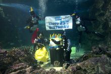SEA LIFE Sydney Aquarium celebrates 25 years