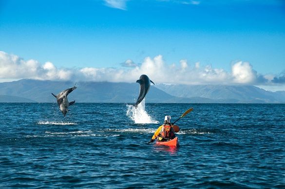 Patagonia