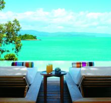qualia view