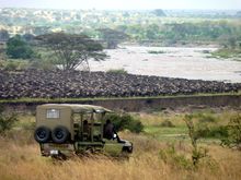 Olakira Lamai guests experience the migration