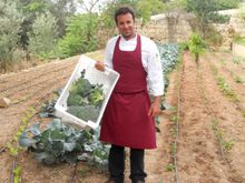 Kitchen Garden