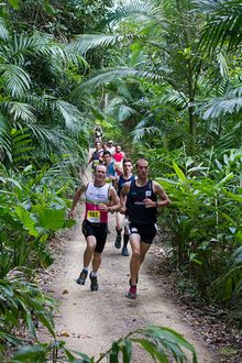 The Run the Whitsunday Great Walk is the longest trail run through rainforests in North Queensland
