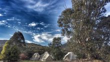 A Wild Night Out at Tidbinbilla