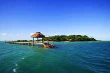 Dolphin Island Fiji