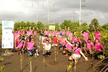 50 talents from W Retreat & Spa Bali – Seminyak joined efforts in giving back to mother nature by reforesting a mangroves forest