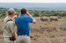 Safari - Kwandwe