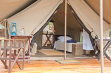 Camp Davidson, South Africa (Ranch Rider)