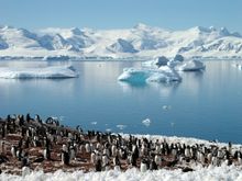 Antarctica landscape