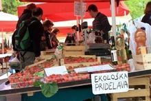 Ljubljananjam