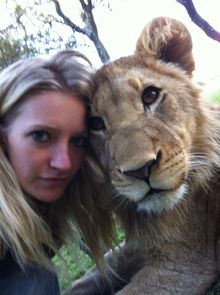 Such a pretty lion