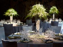 Ivory Romance
