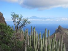Mt Teide from La Gomera (J Morgan).