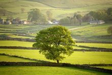 Peak District