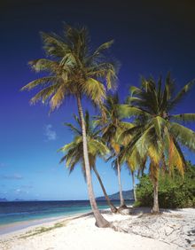 Tortola