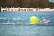 Heron Island Swim