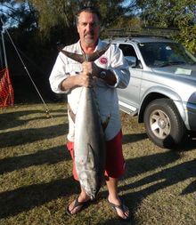Big tuna catch