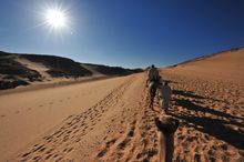 Desert