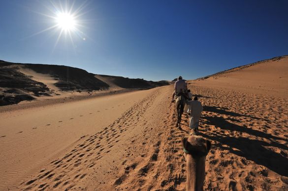 Desert