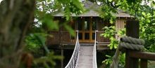 Unique Treehouse In East Sussex