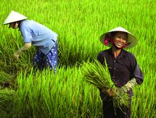 Footloose In Vietnam