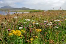 Loch Druidibeg, South Uist, Outer Hebrides