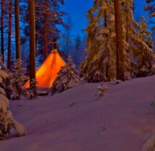 Aurora Safari Camp