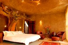 Beautiful Earth Lodge At Sabi Sabi
