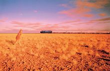 Indian Pacific on the Nullabor