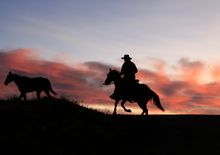 Paradise Guest Ranch WY 