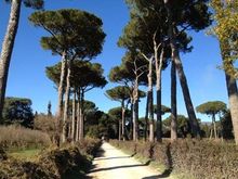 Francigena Trail